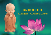 TẬP BA HƠI THỞ TẬP BA HƠI THỞ XẢ STRESS - NẠP NĂNG LƯỢNG