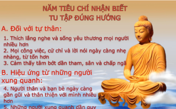 NĂM TIÊU CHÍ NHẬN BIẾT TU TẬP ĐÚNG HƯỚNG NĂM TIÊU CHÍ NHẬN BIẾT TU TẬP ĐÚNG HƯỚNG
