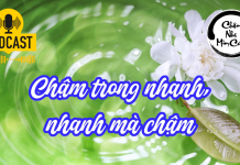 Chậm trong nhanh, nhanh mà chậm Chậm trong nhanh, nhanh mà chậm