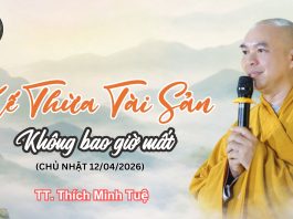 Kế thừa tài sản không bao giờ mất – Thầy Thích Minh Tuệ | Lắng Nghe Lời Phật 3
