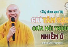 Kinh Ví Dụ Tấm Vải – Giữ Tâm Sạch Giữa Môi Trường Nhiễm Ô | Thầy Thích Minh Tuệ | Lắng Nghe Lời Phật 7