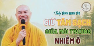 Kinh Ví Dụ Tấm Vải – Giữ Tâm Sạch Giữa Môi Trường Nhiễm Ô | Thầy Thích Minh Tuệ | Lắng Nghe Lời Phật 7