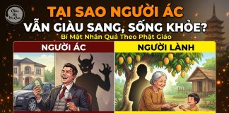 Tại sao người ác vẫn giàu sang, sống khỏe?