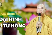 ĐẠI KINH SƯ TỬ HỐNG