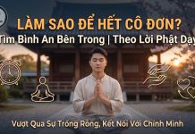 Làm sao để hết cô đơn?