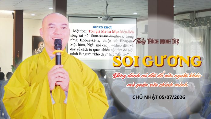 kinhtu-luong-soi-guong
