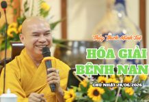 TIỂU KINH KHỔ UẨN – HOÁ GIẢI BỆNH NAN Y | Thầy Thích Minh Tuệ | Lắng Nghe Lời Phật 13