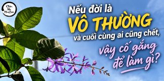 Nếu đời là vô thường và cuối cùng ai cũng chết, vậy cố gắng để làm gì?