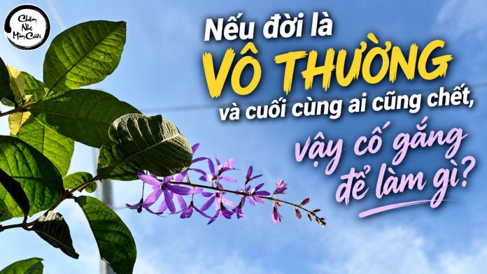 Bản sao của Bản sao của Bản sao của Bản sao của bai viet