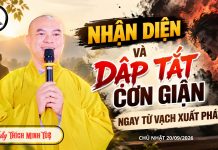Kinh Mật Hoàn – Nhận Diện và Dập Tắt Cơn Giận Ngay Từ Vạch Xuất Phát | Thầy Thích Minh Tuệ | Lắng Nghe Lời Phật 17