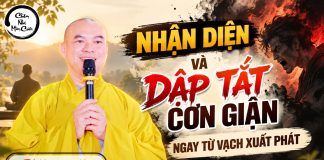 Kinh Mật Hoàn – Nhận Diện và Dập Tắt Cơn Giận Ngay Từ Vạch Xuất Phát | Thầy Thích Minh Tuệ | Lắng Nghe Lời Phật 17
