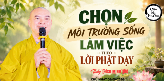 Kinh Khu Rừng – Chọn Môi Trường Sống làm Việc Theo Lời Phật Dạy | Thầy Thích Minh Tuệ | Lắng Nghe Lời Phật 16
