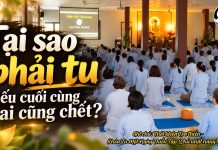 Tại sao phải tu nếu cuối cùng ai cũng chết?