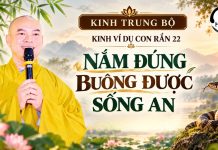 Kinh Ví Dụ Con Rắn – Nắm Đúng, Buông Được, Sống An | Thầy Thích Minh Tuệ | Lắng Nghe Lời Phật 19