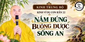 Kinh Ví Dụ Con Rắn – Nắm Đúng, Buông Được, Sống An | Thầy Thích Minh Tuệ | Lắng Nghe Lời Phật 19 & 20