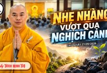 Kinh Ví Dụ Cái Cưa – Nhẹ Nhàng Vượt Qua Nghịch Cảnh | Thầy Thích Minh Tuệ | Lắng Nghe Lời Phật 18