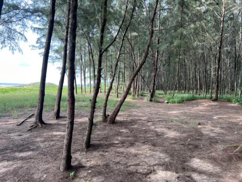 z7210242423468 8a49e87856d155b4763830a48f5e568b