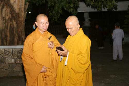 IMG 7595